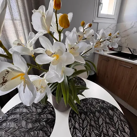 appartement Apartment *